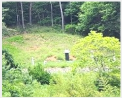  2023Ÿ22790 泲 뿵 ѻ ȣ 735      (1)