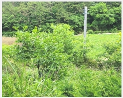  2023Ÿ22790 泲 뿵 ѻ ȣ 735      (1)