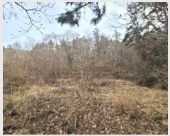  2023Ÿ��370 �泲 ������ ���ʸ� ������ 70      ����(��)���