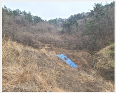  2023Ÿ��370 �泲 ������ ���ʸ� ������ 70      ����(��)���