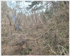  2023Ÿ��370 �泲 ������ ���ʸ� ������ 70      ����(��)���