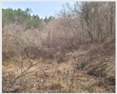  2023Ÿ��370 �泲 ������ ���ʸ� ������ 70      ����(��)���