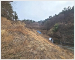  2023Ÿ��370 �泲 ������ ���ʸ� ������ 70      ����(��)���