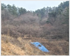  2023Ÿ��370 �泲 ������ ���ʸ� ������ 70      ����(��)���