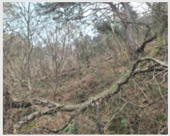  2023Ÿ��370 �泲 ������ ���ʸ� ������ 70      ����(��)���