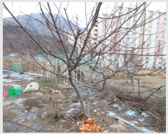  2023Ÿ��30593 �泲 ������ �Ͽ�� �ҵ��� 701      ����(��)���