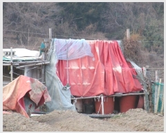  2023Ÿ��30593 �泲 ������ �Ͽ�� �ҵ��� 701      ����(��)���