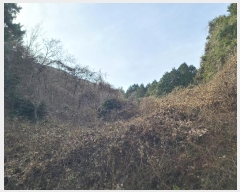  2023Ÿ30913 泲  ʸ 縮 78-1      ()