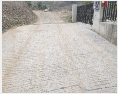  2023Ÿ��22257 �泲 �뿵�� ������ �׸��� 1216-2      ����(��)���