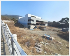  2023Ÿ31367 泲  д л긮 175      ()