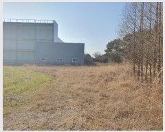  2023Ÿ31367 泲  д л긮 175      ()