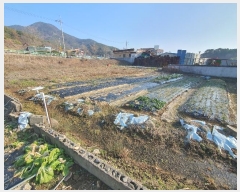  2023Ÿ31367 泲  д л긮 175      ()