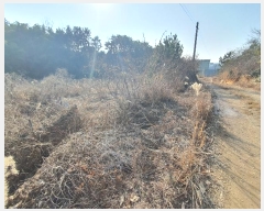  2023Ÿ31367 泲  д л긮 175      ()