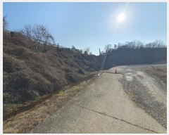  2023Ÿ31367 泲  д л긮 175      ()