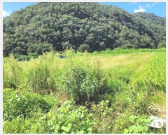  2023Ÿ��1703 �泲 �о�� ���ȸ� ���긮 885-19      ����(��)���