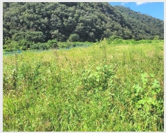  2023Ÿ��1703 �泲 �о�� ���ȸ� ���긮 885-19      ����(��)���