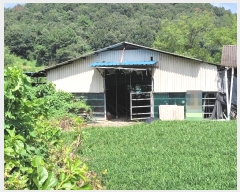  2023Ÿ��1703 �泲 �о�� ���ȸ� ���긮 885-18      ����(��)���