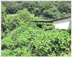  2023Ÿ��1703 �泲 �о�� ���ȸ� ���긮 885-18      ����(��)���