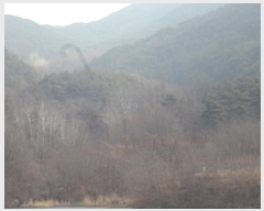  2023Ÿ11403  (Ӿ)