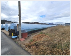  2023Ÿ��304  ����