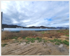  2023Ÿ��304  ����