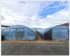  2023Ÿ��304  ����