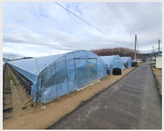  2023Ÿ��304  ����