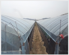  2023Ÿ��304  ����