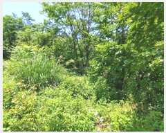  2023Ÿ��991  �������