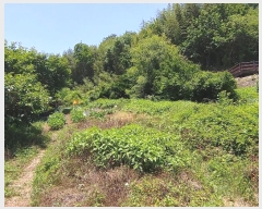  2023Ÿ��991  �������