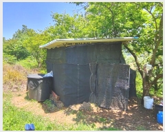  2023Ÿ��991  �������