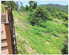  2023Ÿ��991  �������