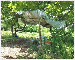  2023Ÿ��991  �������