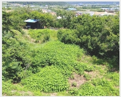  2023Ÿ��991  �������