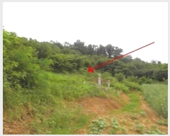  2023Ÿ��1116  �����