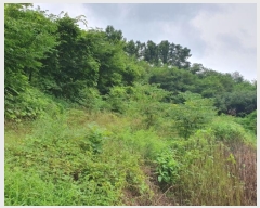  2023Ÿ��1116  �����