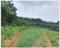  2023Ÿ��1116  �����