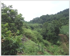  2023Ÿ��1116  �����