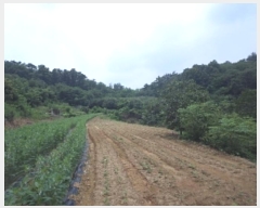  2023Ÿ��1116  �����