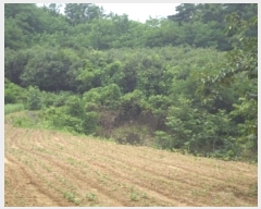  2023Ÿ��1116  �����