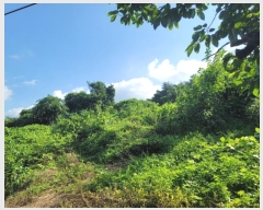  2023Ÿ1383 泲 â籺  â 133      (1)