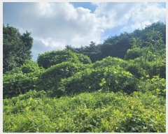  2023Ÿ1383 泲 â籺  â 133      (1)