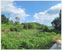  2023Ÿ1383 泲 â籺  â 133      (1)