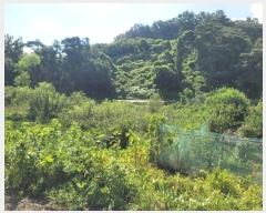  2023Ÿ1383 泲 â籺  â 133      (1)