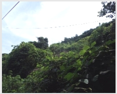  2023Ÿ1383 泲 â籺  â 133      (1)