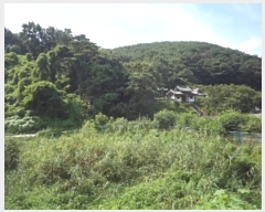  2023Ÿ1383 泲 â籺  â 133      (1)