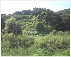  2023Ÿ1383 泲 â籺  â 133      (1)