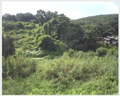  2023Ÿ1383 泲 â籺  â 133      (1)