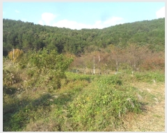  2023Ÿ��1420  �����