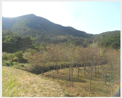  2023Ÿ��1420  �����